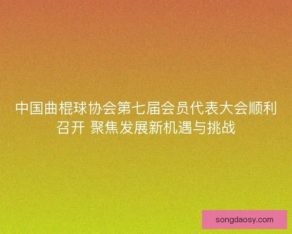 中国曲棍球协会第七届会员代表大会顺利召开 聚焦发展新机遇与挑战