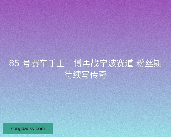 85 号赛车手王一博再战宁波赛道 粉丝期待续写传奇