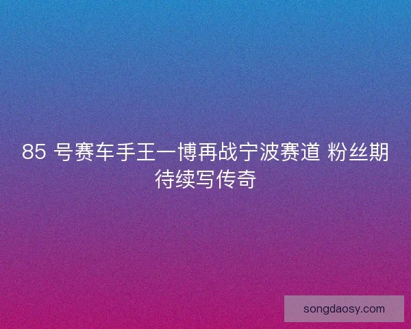 85 号赛车手王一博再战宁波赛道 粉丝期待续写传奇