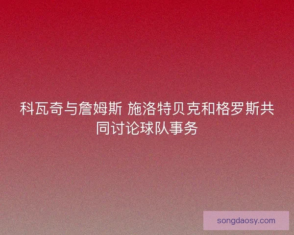 科瓦奇与詹姆斯 施洛特贝克和格罗斯共同讨论球队事务