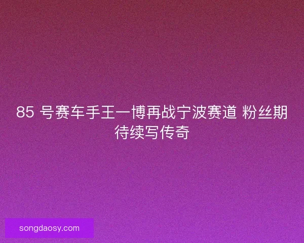 85 号赛车手王一博再战宁波赛道 粉丝期待续写传奇