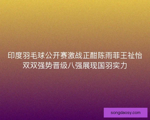 印度羽毛球公开赛激战正酣陈雨菲王祉怡双双强势晋级八强展现国羽实力